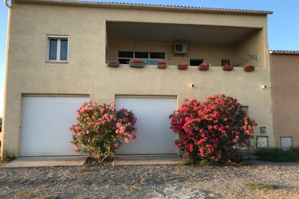 Maison Spacieuse * Gruissan